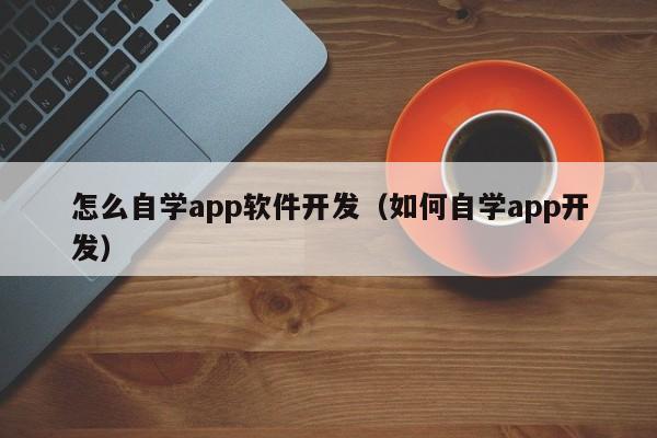 巨野怎么自学app软件开发（如何自学app开发）