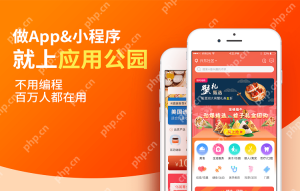 怎样开发一个APP软件?