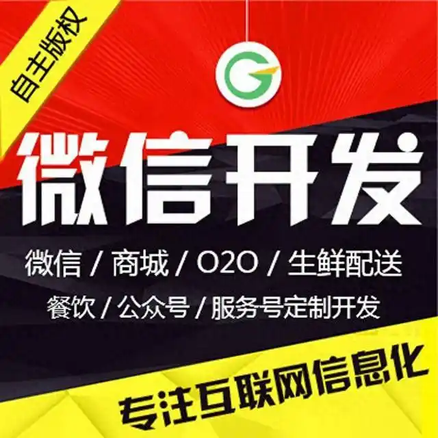 巨野**小程序开发攻略：自己动手开发小程序全流程